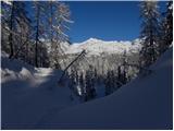 Koča pri Savici - Planina Lopučnica